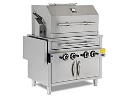 Hibrid Profesyonel Barbekü Izgara