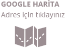 google-harita